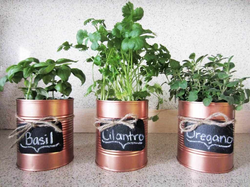 DIY copper tin can planters