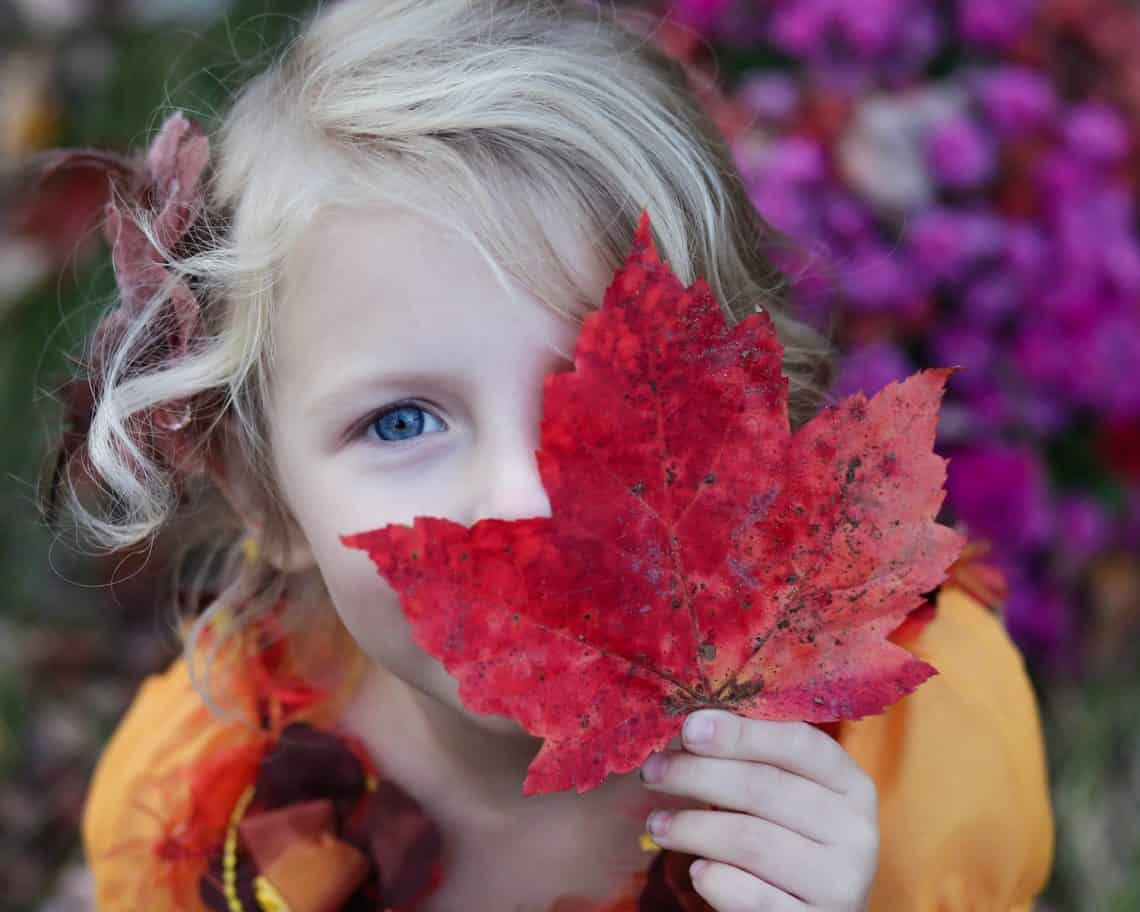 Fall Activities for Families