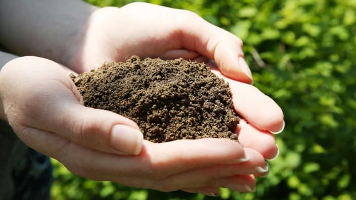 Best Ways To Improve Your Garden Soil, How To Add Nitrogen Garden Soil