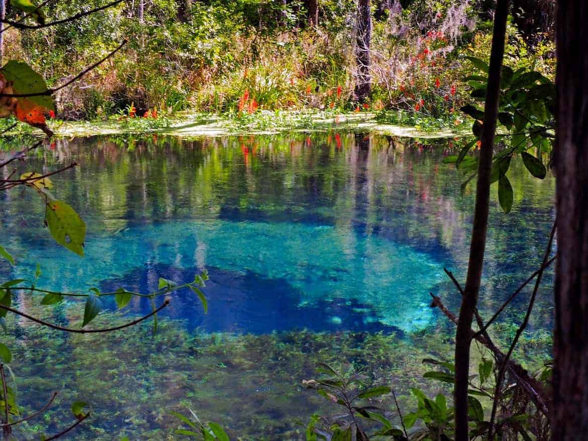 Blue Hole at Ichetucknee Springs State Park