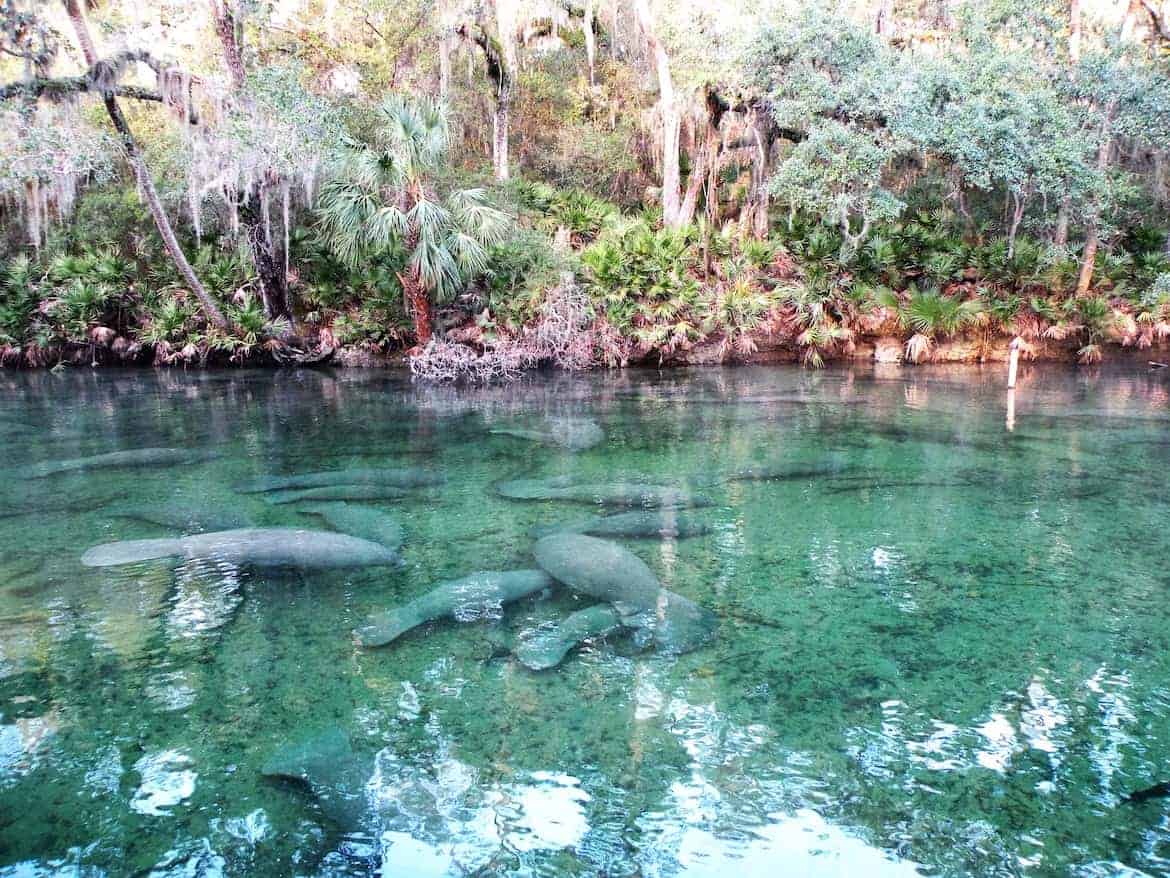 natural springs to visit in florida