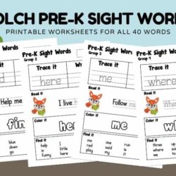 Teaching Your Child to Read with Dolch Sight Words