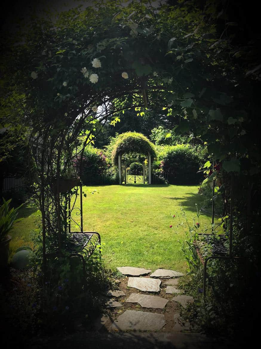 Companion Plants that Repel Pests and Help Your Entire Garden Grow