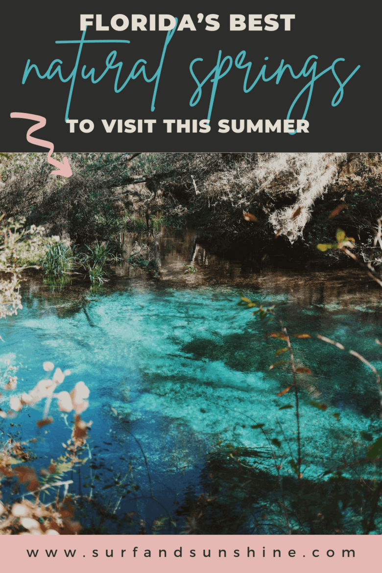 5 Best Natural Springs In Florida To Visit This Summer