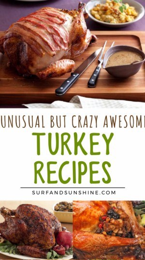 No Ordinary Bird: 9 Unusual Roast Turkey Recipes for the Holidays good turkey recipes
