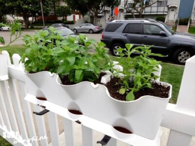 vertical herb garden