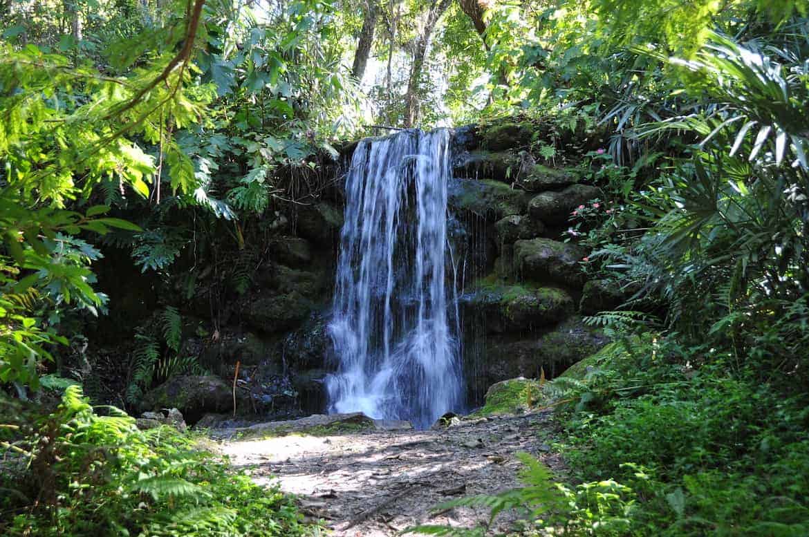 waterfall at Rainbow Springs State Park