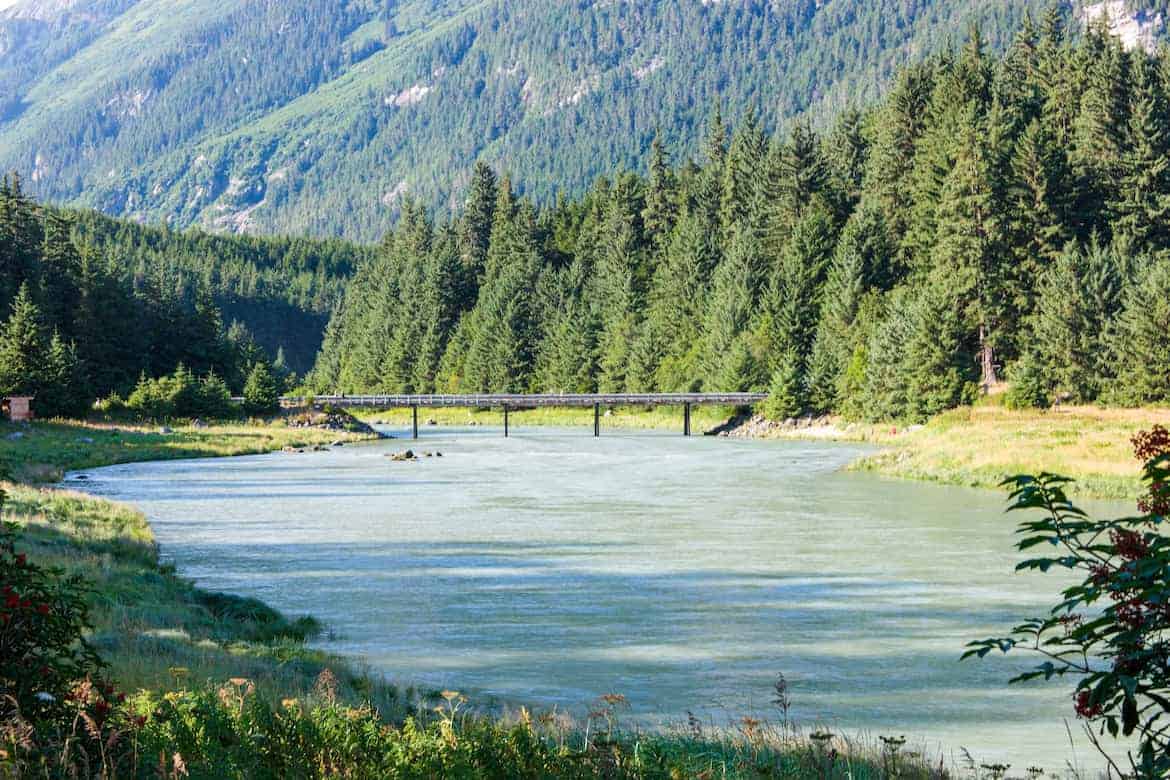 Chilkoot Wildlife Viewing