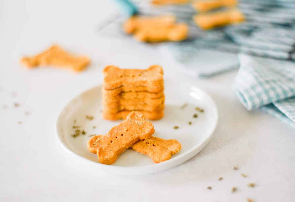 pumpkin and brown rice flour diy halloween dog treats