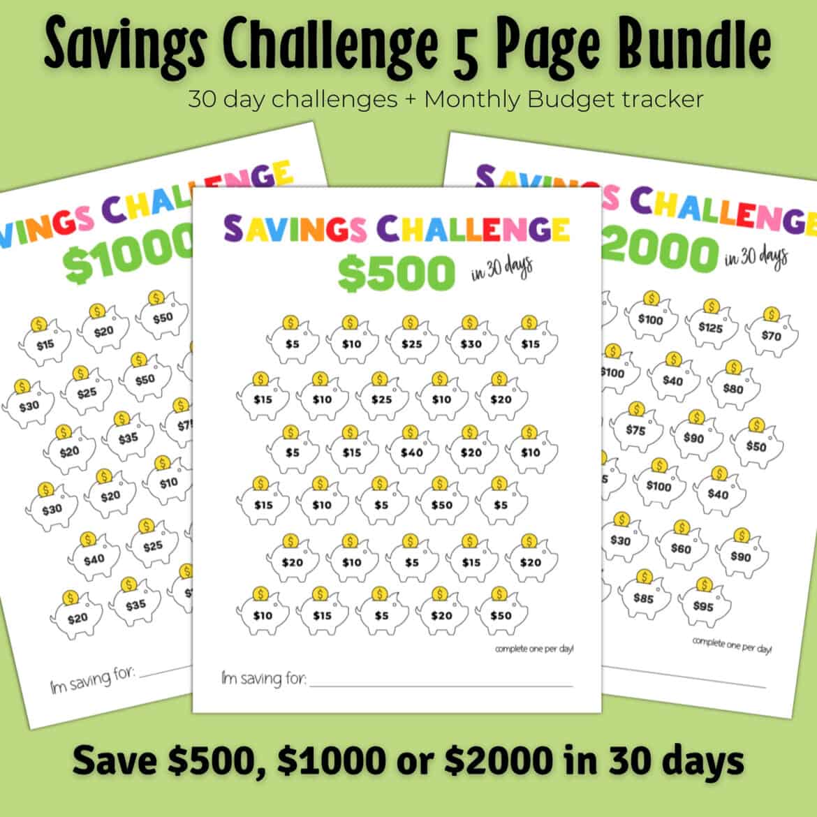 30 Day Savings Challenge Printable