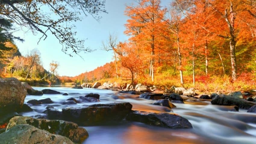 Adirondacks fall foliage