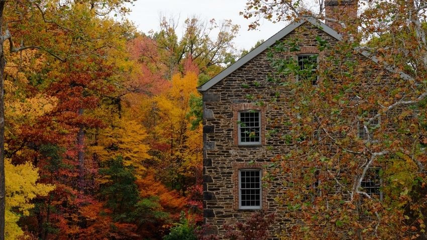 New York state fall foliage Bronx Botanical Garden