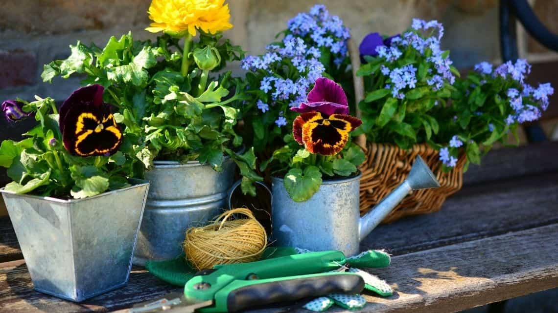 flower pots for landscaping on a budget