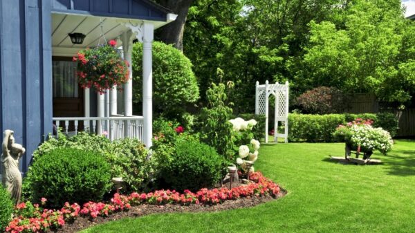 front yard landscaping curb appeal