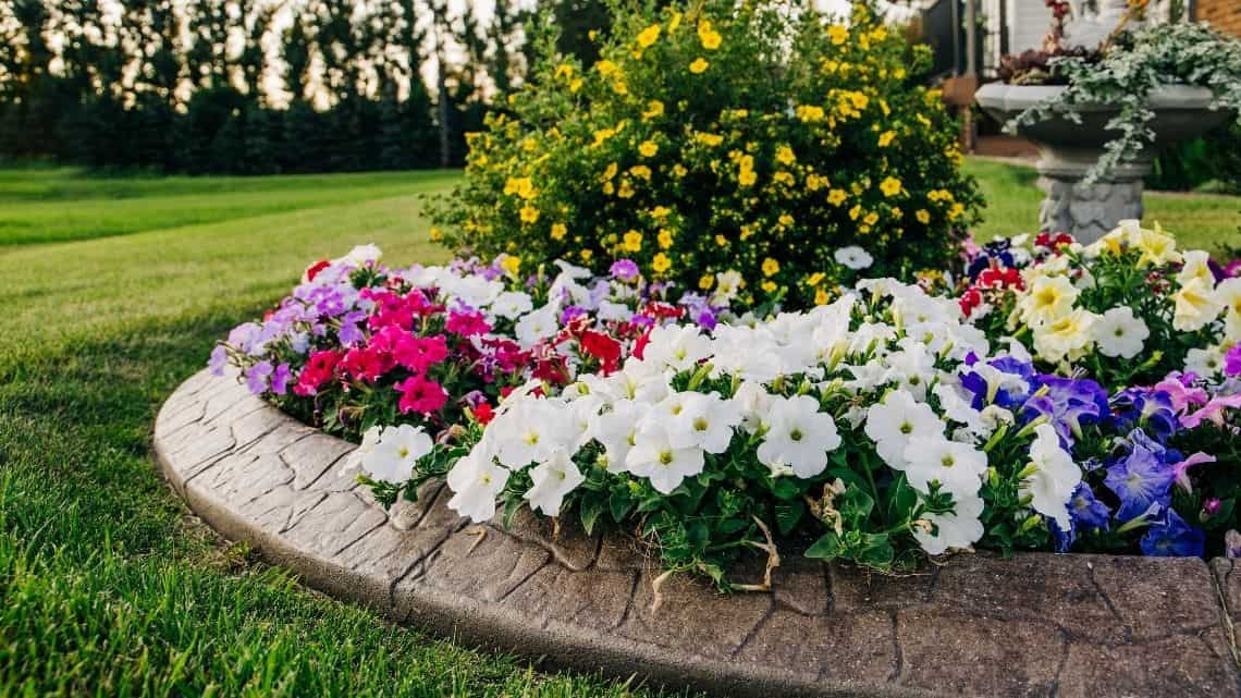 garden bed