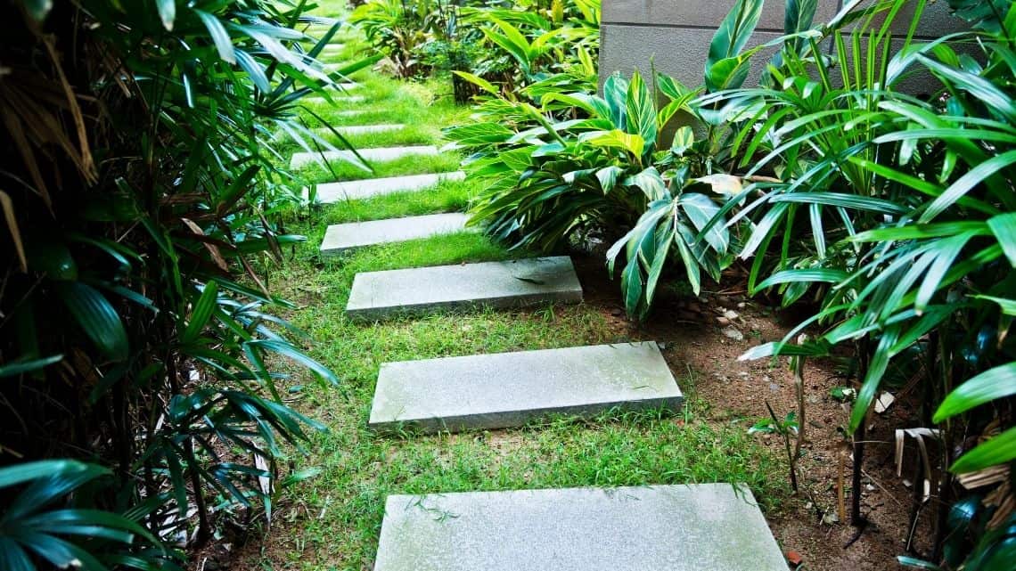 stone path front yard landscaping