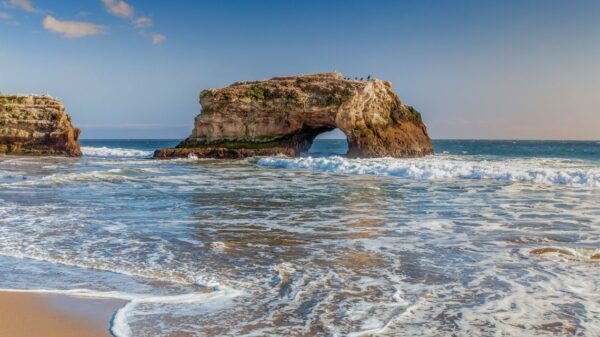 natural bridges state beach