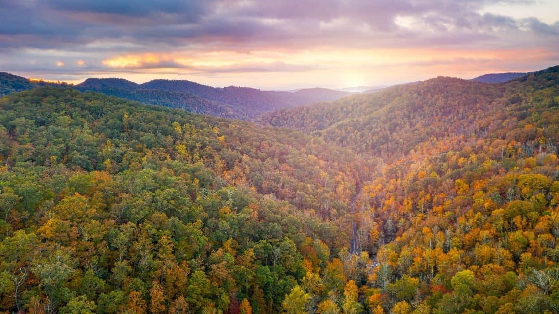 Pisgah National Forest - things to do in asheville nc - Things to Do in Asheville, NC