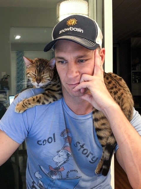 Roxy bengal cat on mans shoulders -  - 37 Fun Facts About Cats That Will Make You Love Them Even More