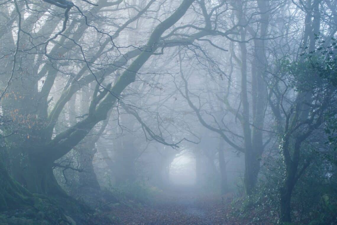 charleston sc ghost tour - - Things to Do in Charleston SC at Night