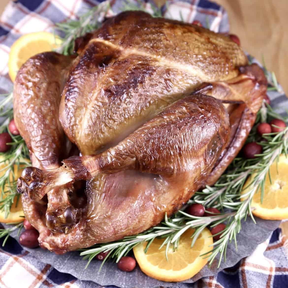 Apple Cider Smoked Turkey Recipe Image H copy