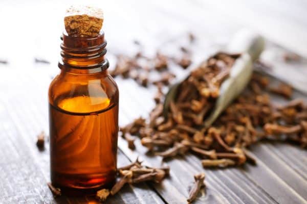 clove oil