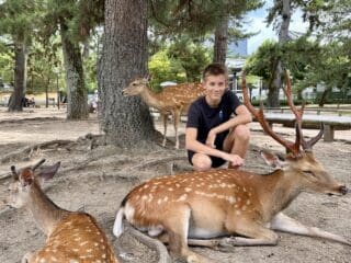 Nara Park Travel Guide: Tips for Visiting Japan’s Famous Deer Paradise