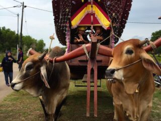 Bullock Cart Village