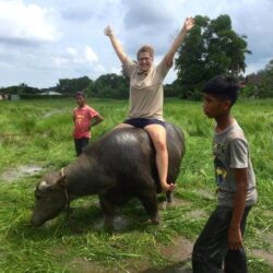The time I rode a water buffalo in a rice paddy field of Malaysia