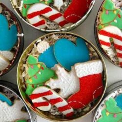 Best Christmas Cookie Recipes to Leave for Santa and his Crew