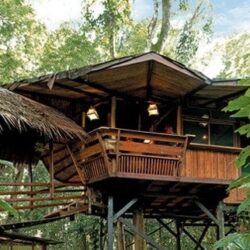 So You Wanna Swing from the Trees? 12 Tree House Resorts You Can Actually Stay At!