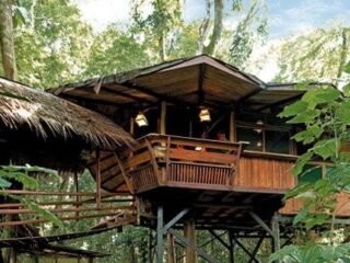 12 Tree House Resorts You Can Actually Stay At!