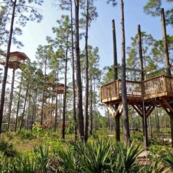Forever Florida: Conservation and Adventure All Rolled Into One!