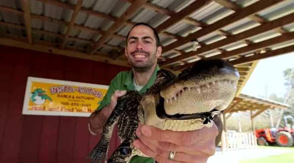 The Life Of An Alligator Wrangler