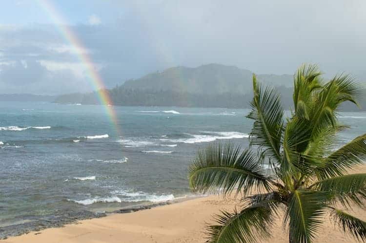 Hanalei Colony Resort3