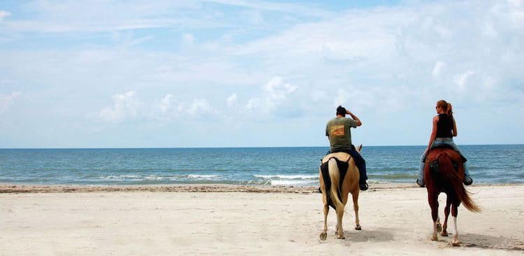 Horseback riding