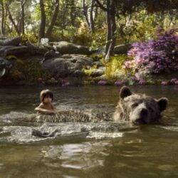 Our Favorite Jungle Book Easter Eggs and Flash Backs