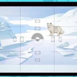 For Kids: 15 Facts About The Arctic Biome & Its Inhabitants
