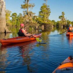 5 Family Friendly Activities in Gulf County Florida