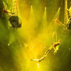 Two of The Most Exciting Shows in Vegas: Le Reve and ShowStoppers
