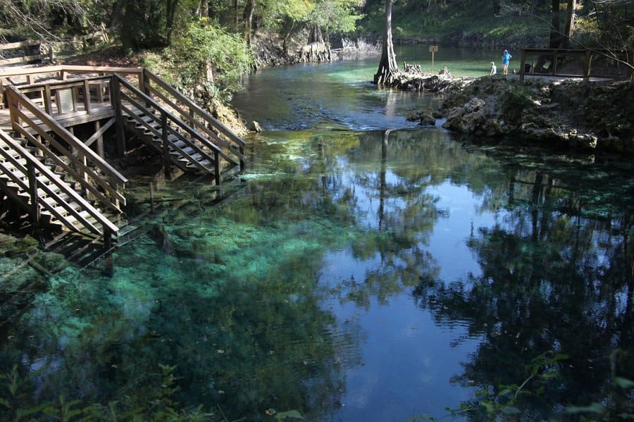 Madison - Natural Pools in usa