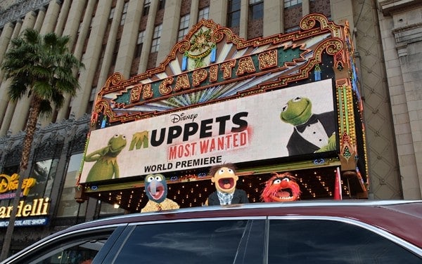 Premiere Of Disney's "Muppets Most Wanted" - Red Carpet