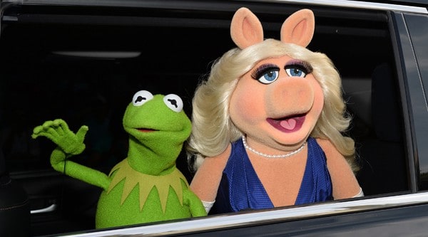 Premiere Of Disney's "Muppets Most Wanted" - Red Carpet