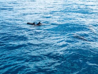 Na Pali Coast Tours1