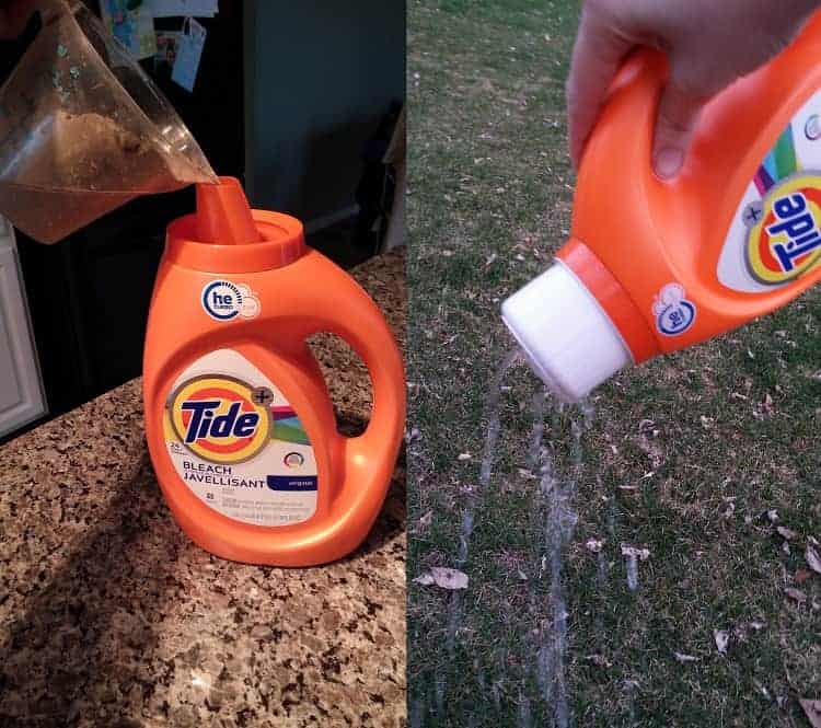 Clever Ways To Reuse And Recycle Detergent Bottles