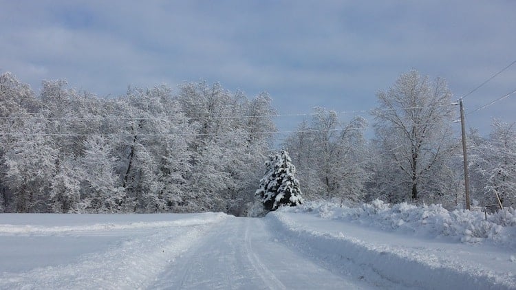 Pure Michigan