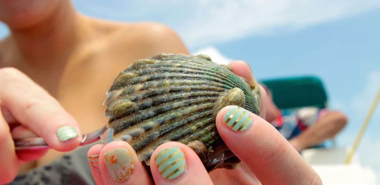 Scalloping