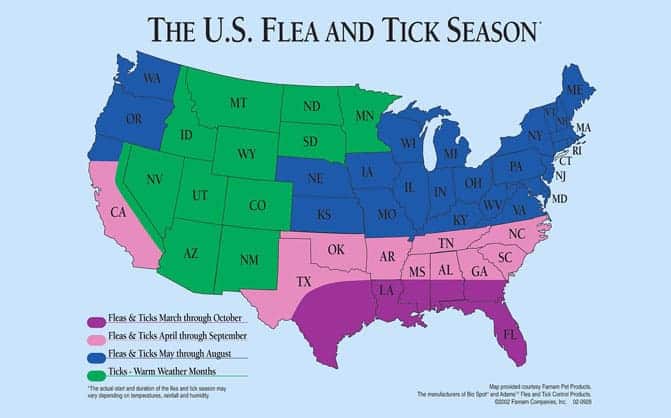 US Flea and Tick