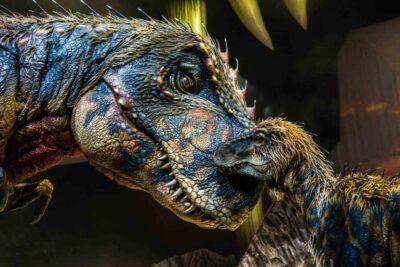 WWD Mama and Baby T 3 Photo by Patrick Murphy