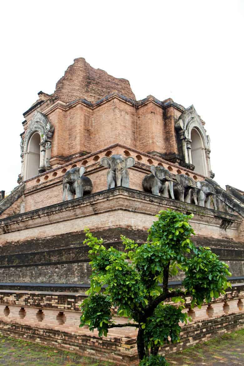 Wat Chedi Luang Elephants